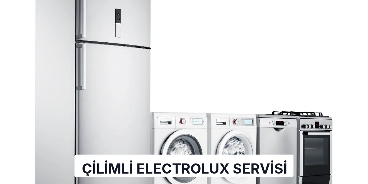 Çilimli Electrolux Servisi