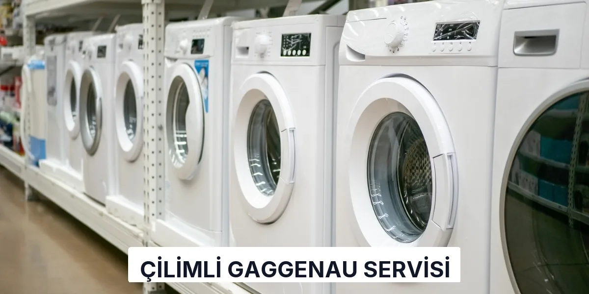 Çilimli Gaggenau Servisi