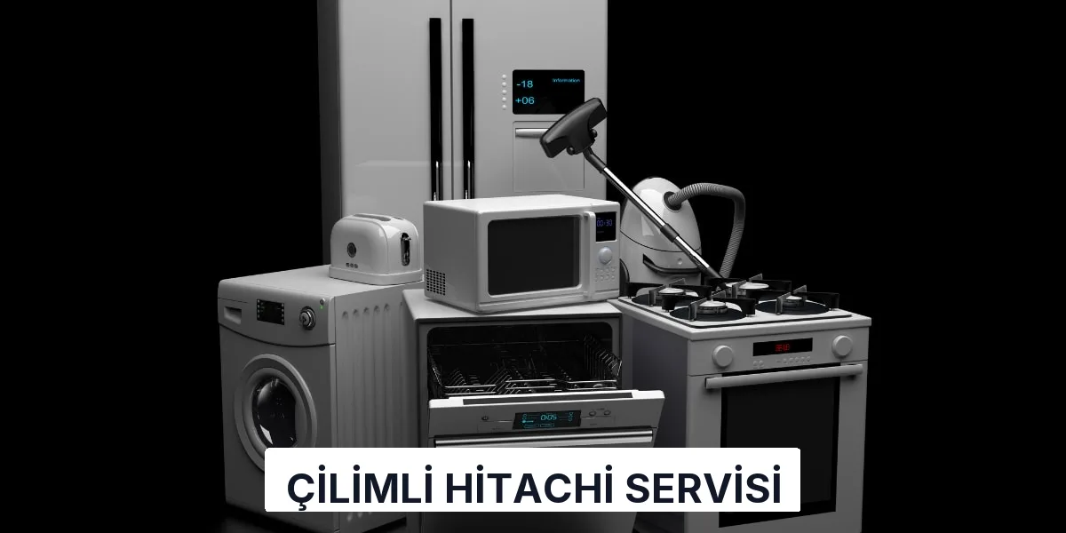 Çilimli Hitachi Servisi