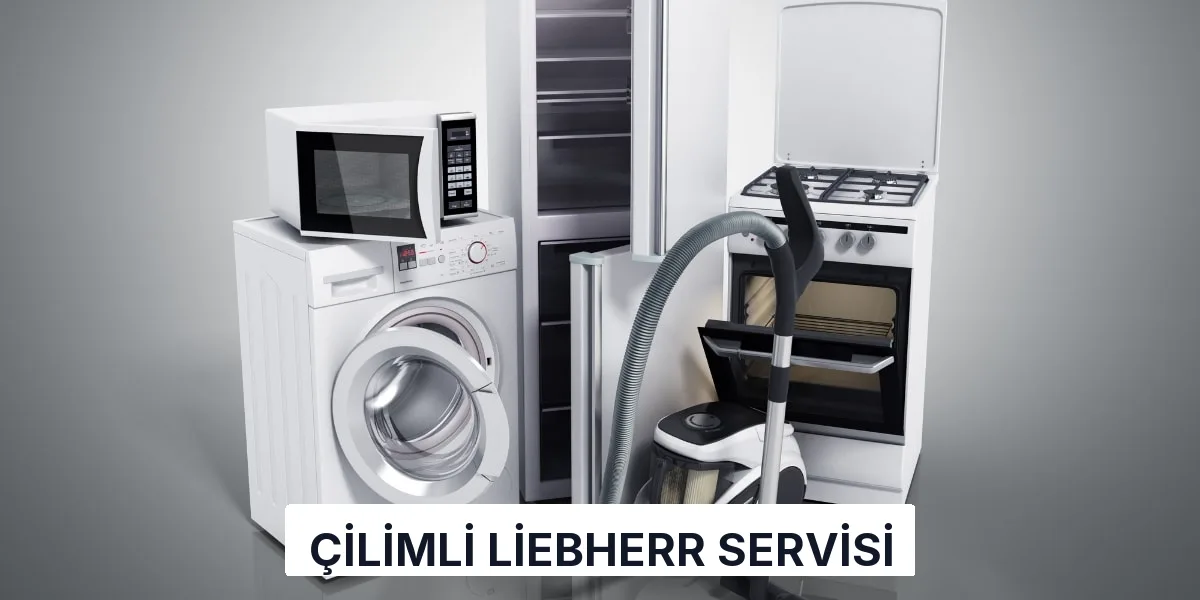 Çilimli Liebherr Servisi