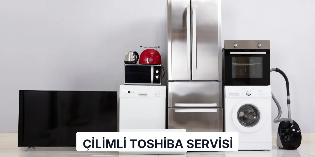 Çilimli Toshiba Servisi