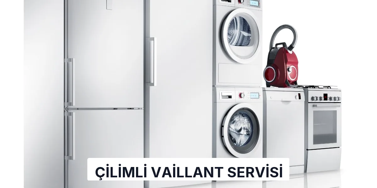 Çilimli Vaillant Servisi